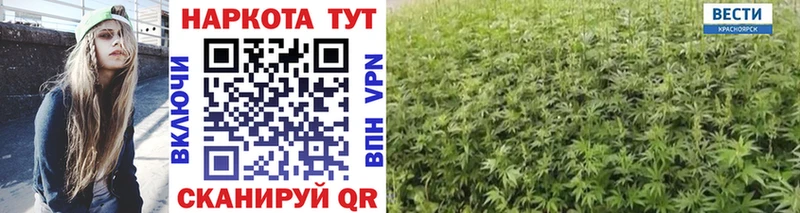 Купить наркоту Пушкино OMG маркетплейс  Кокаин  ГАШИШ  Бошки Шишки  АМФ 