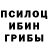 Псилоцибиновые грибы мухоморы The Vatnex