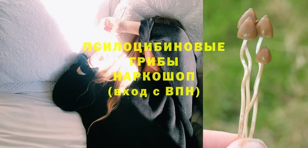 гашиш Надым