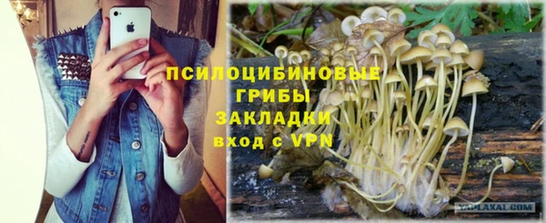 индика Куйбышев