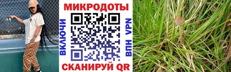 Псилоцибиновые грибы GOLDEN TEACHER  Пушкино 