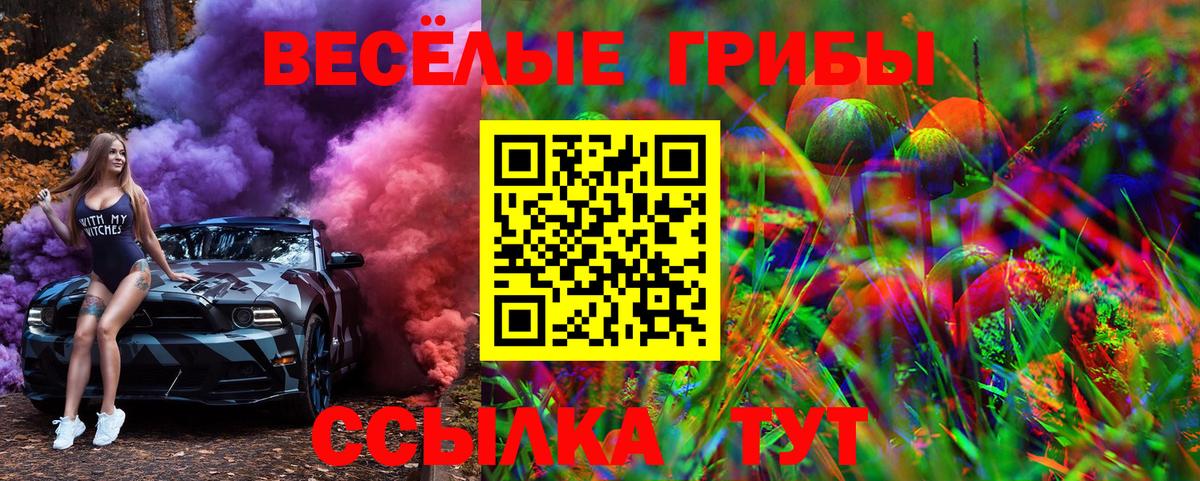 Галлюциногенные грибы Magic Shrooms Пушкино
