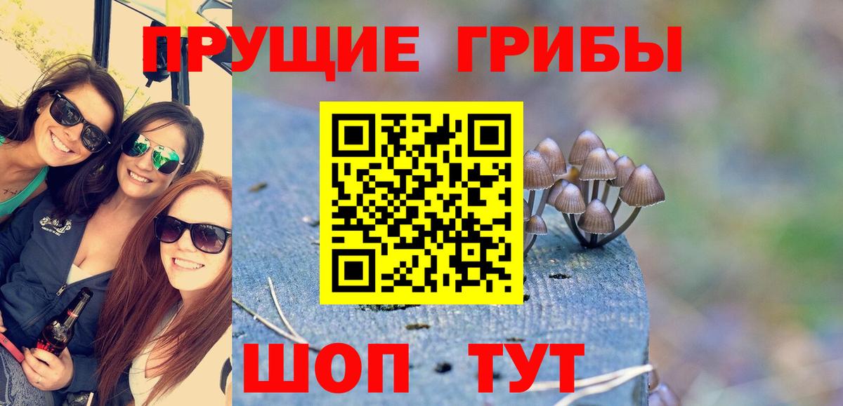 где купить   Псилоцибиновые грибы ЛСД  Вход с VPN  Псилоцибиновые грибы Psilocybe  Пушкино 